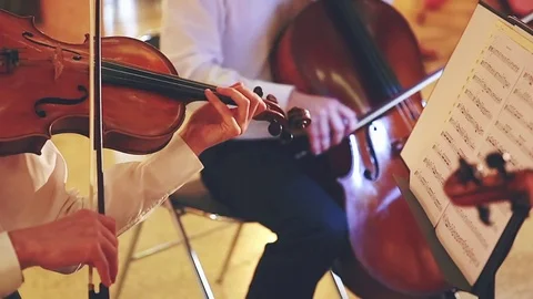 Classical Musicians Stock Footage 84933481