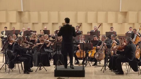Classical orchestra playing on symphony stage, noble job Stock Footage