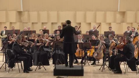 Classical orchestra playing on symphony stage, noble job Stock Photos