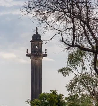 Classical Pillar Through Tree Branches Stock Photos