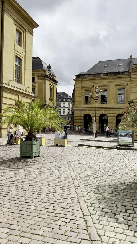 Classical stone architecture of the hotel de ville in metz with potted palm. Stockbeeldmateriaal 342963653