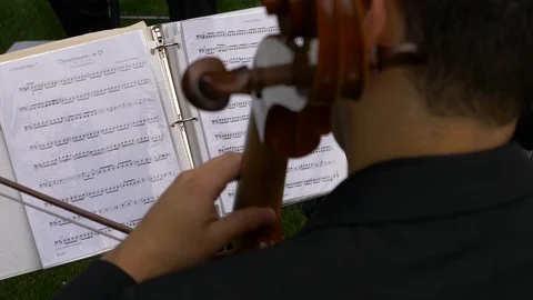Classical String Quartet During a Performance at Wedding Outside Stock Footage 86879816
