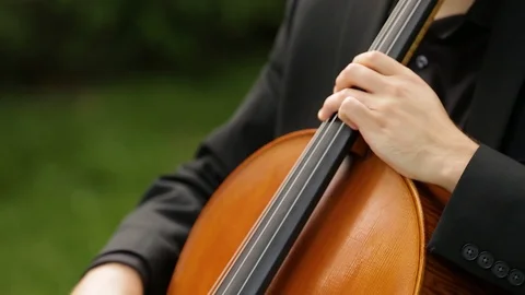 Classical String Quartet During a Performance at Wedding Outside Stock Footage 86879817