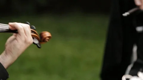 Classical String Quartet During a Performance at Wedding Outside Stock Footage 86879819