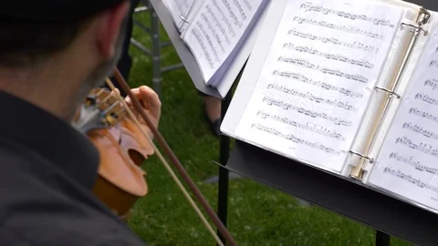 Classical String Quartet During a Performance at Wedding Outside Stock Footage 86879853