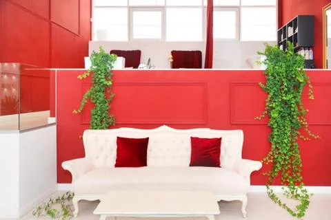 Classical style armchair sofa couch in modern bright beauty or hair salon int Stock Photos