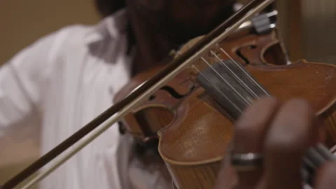 Classical Violinist Performing Music on Stage in a Concert Hall 動画素材 208733772
