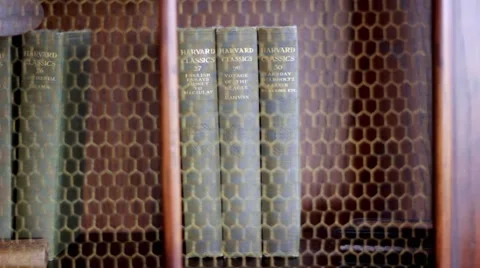The Classics Bookshelf (Dolly Move) Stock Footage 4199830