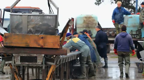 Classification of fish Stock-Footage 45707151