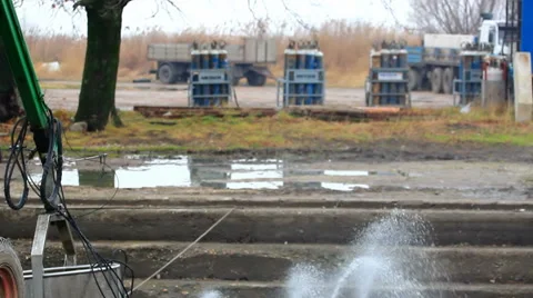 Classification of fish | Stock Video | Pond5