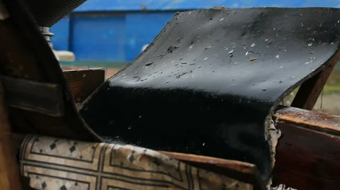 Classification of fish Stock-Footage 45707839