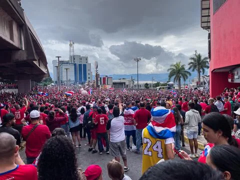 Classification to World Cup Stock Photos