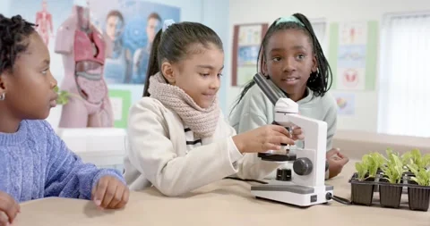 Classmates children operating microscope, adjusting slide and examining Stock Footage 341028760