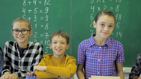 Classmates posing together in a classroom Stock Footage 117316496