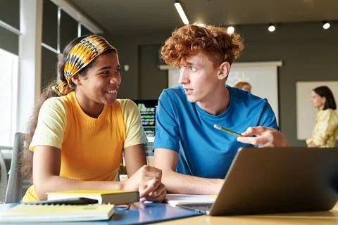 Classmates working with computer program together Foto stock