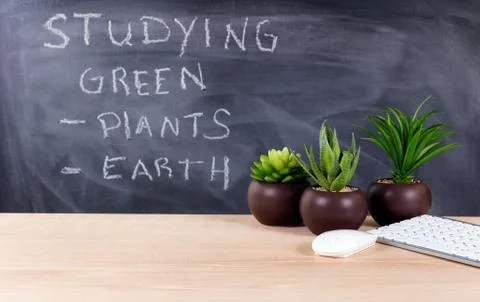 Classroom desktop displaying keyboard, mouse and plants with blackboard, writ Stock Photos