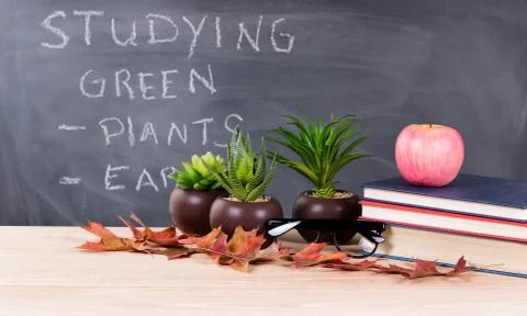 Classroom desktop displaying textbooks, plants, reading glasses, leaves and a Stock Photos
