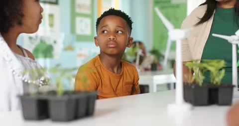 Classroom seeing left girl explaining plants, African American boy turning, Stock Footage 341736389