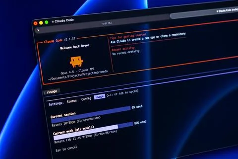 Claude Code command line interface displaying repository activity and usage 写真素材