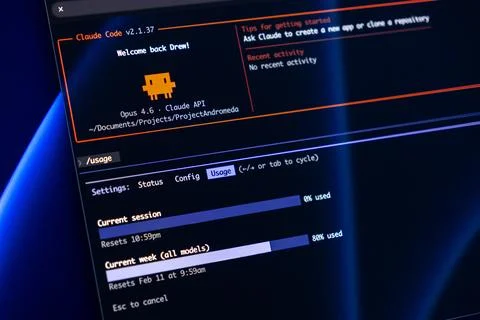 Claude Code interface displaying software project status and API usage 写真素材