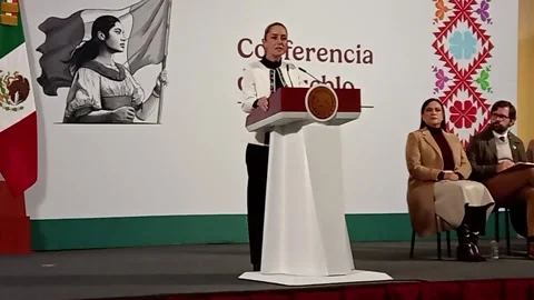 Claudia Sheinbaum talks about how Morena won 2024 election process Stock Footage 296754922