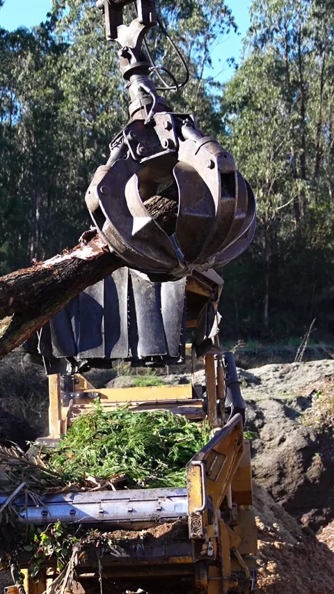 Claw crane loading wood waste in slow motion Stock Footage 313924328