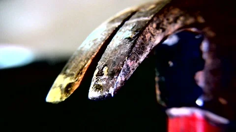 Claw hammer 動画素材 1071181