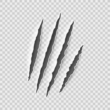 Claw marks. Claws scratches, cat and tiger, lion and bear animals paws attack Stock Illustration