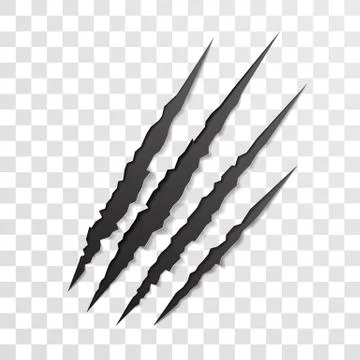 Claw scratch mark. Torn scrape trace of beast Stock Illustration