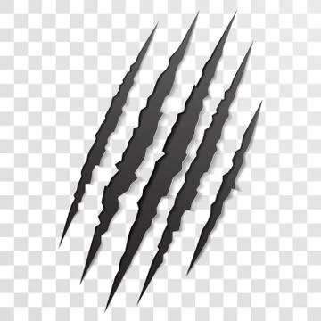 Claw scratch mark. Torn scrape trace of beast Stock Illustration