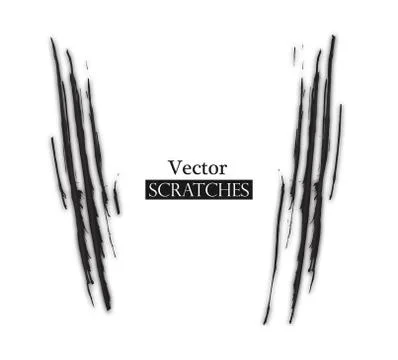 Claw scratch on white background. Vector illustration Illustrazione stock