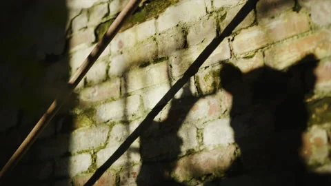 Clawed Nightmare Stock Footage 168937196