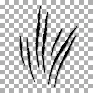 Claws scratches icon isolated on transparency background. Several forms nicks Stock Illustration