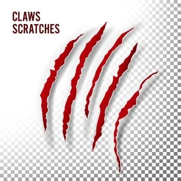 Claws Scratches Vector. Claw Scratch Mark. Bear Or Tiger Paw Claw Scratch Bloody Stock Illustration