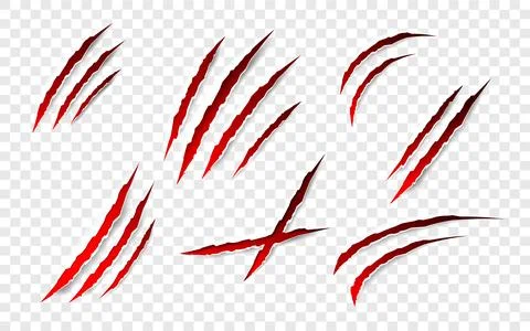 Claws scratches - vector isolated. Claws scratches animal claw tracks cat or Stock Illustration