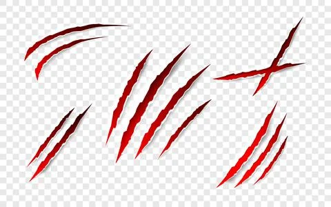 Claws scratches - vector isolated. Claws scratches animal claw tracks cat or Stock Illustration