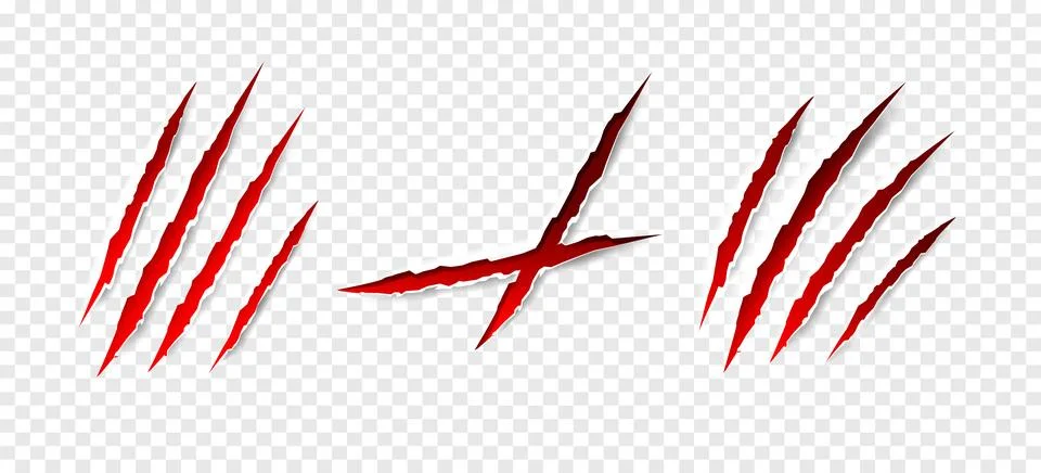 Claws scratches - vector isolated. Claws scratches animal claw tracks cat or Stock Illustration
