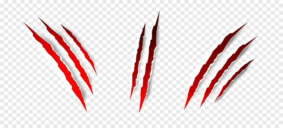 Claws scratches - vector isolated. Claws scratches animal claw tracks cat or Stock Illustration