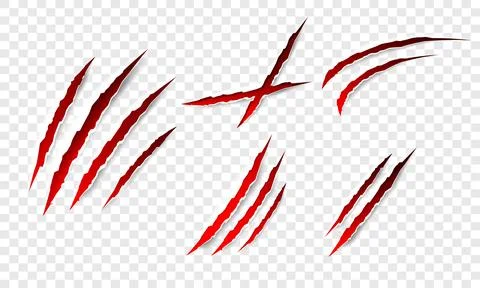 Claws scratches - vector isolated. Claws scratches animal claw tracks cat or Stock Illustration