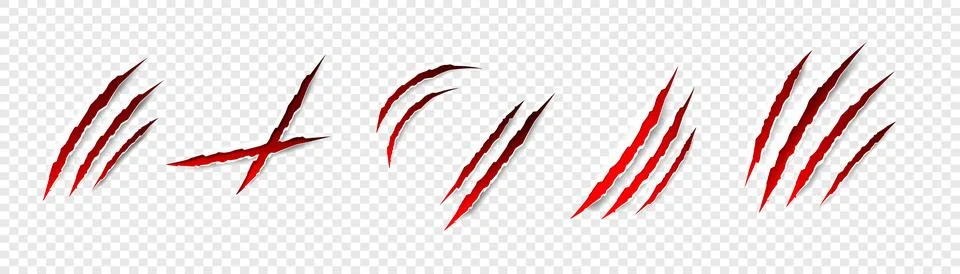 Claws scratches - vector isolated. Claws scratches animal claw tracks cat or Stock Illustration