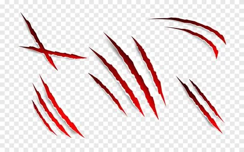 Claws scratches - vector isolated. Claws scratches animal claw tracks cat or Stock Illustration