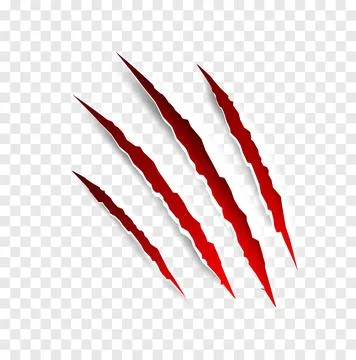 Claws scratches - vector isolated. Claws scratches animal claw tracks cat or Stock Illustration