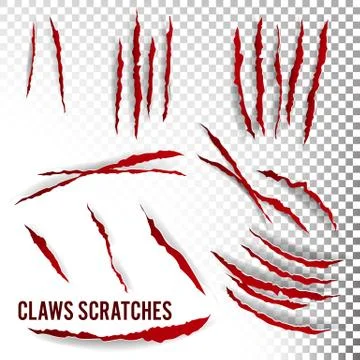 Claws Scratches Vector. Transparent Background. Realistic Illustration Stock Illustration
