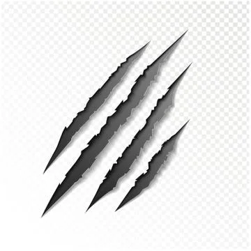 Claws scratching animal Stock Illustration