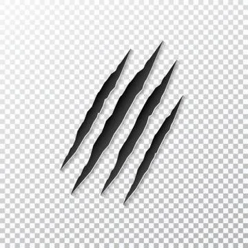 Claws scratching animal Stock Illustration