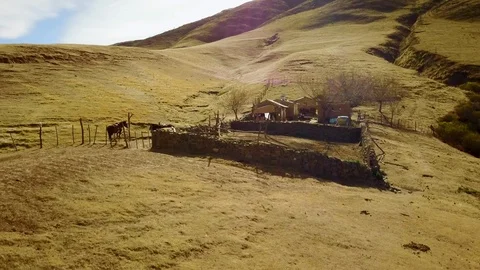 Clay authentic mountain House during sunset and horses, Ascending aerial shot Stock Footage 89807639