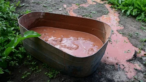 Clay bath, mortar for bricklaying Stock Footage 117479243