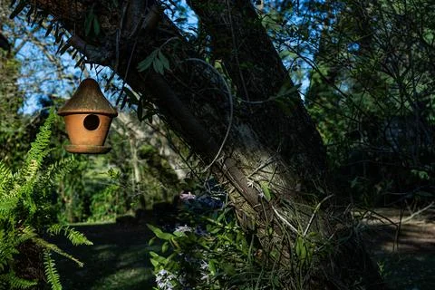 Clay bird house. Stock Photos