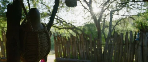 Clay bottle hanging in a tree Video stock 105461748