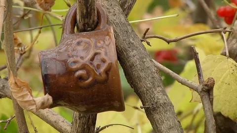 Clay cup on a branch Stock Footage 72435888